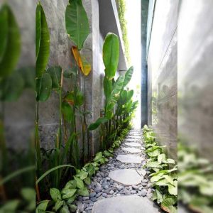 Alternative view of Đá Bước Dặm Thớt Trang Trí Sân Vườn