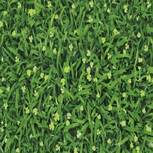 Gạch Cỏ Mikado Hàng Cao Cấp