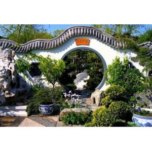 Tiểu Cảnh Bonsai Trung Quốc Cho Khu Nghỉ Dưỡng/ Resort