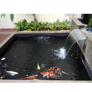 trang tri ho ca koi san thuong resort 13