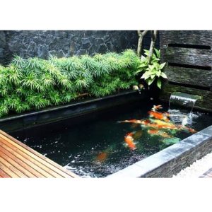 trang tri ho ca koi san thuong resort 14