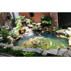 trang tri ho ca koi san thuong resort 7